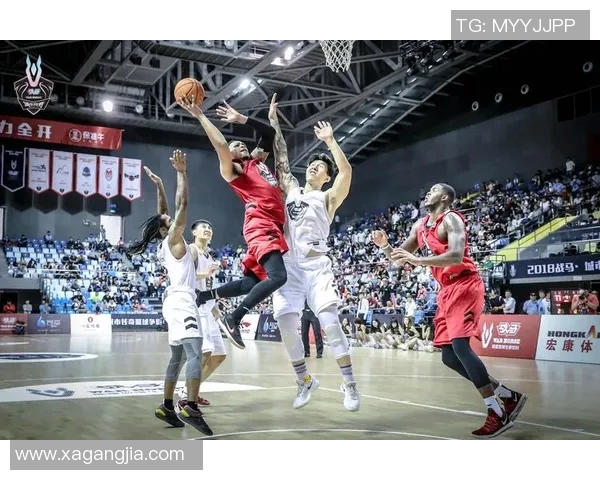 对话篮球传奇张磊：回顾他辉煌的篮球生涯与成长历程