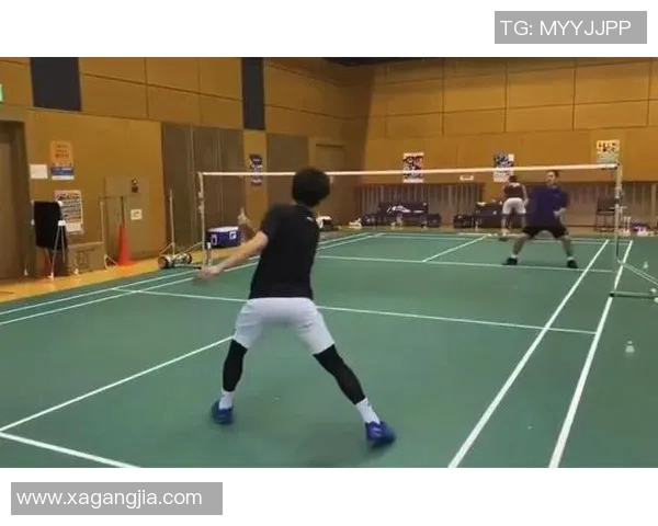 深入分析北京羽毛球队区域防守战术的特点与应用策略